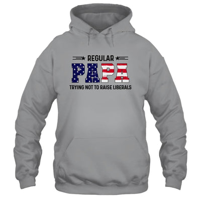 Regular Papa Trying Not To Raise Liberal American USA Flag-T-Shirt & Hoodie-Pullover Hoodie-Sport Grey