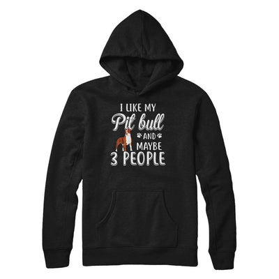 I Like My Pitbull And Maybe 3 People-T-Shirt & Hoodie-Pullover Hoodie-Black
