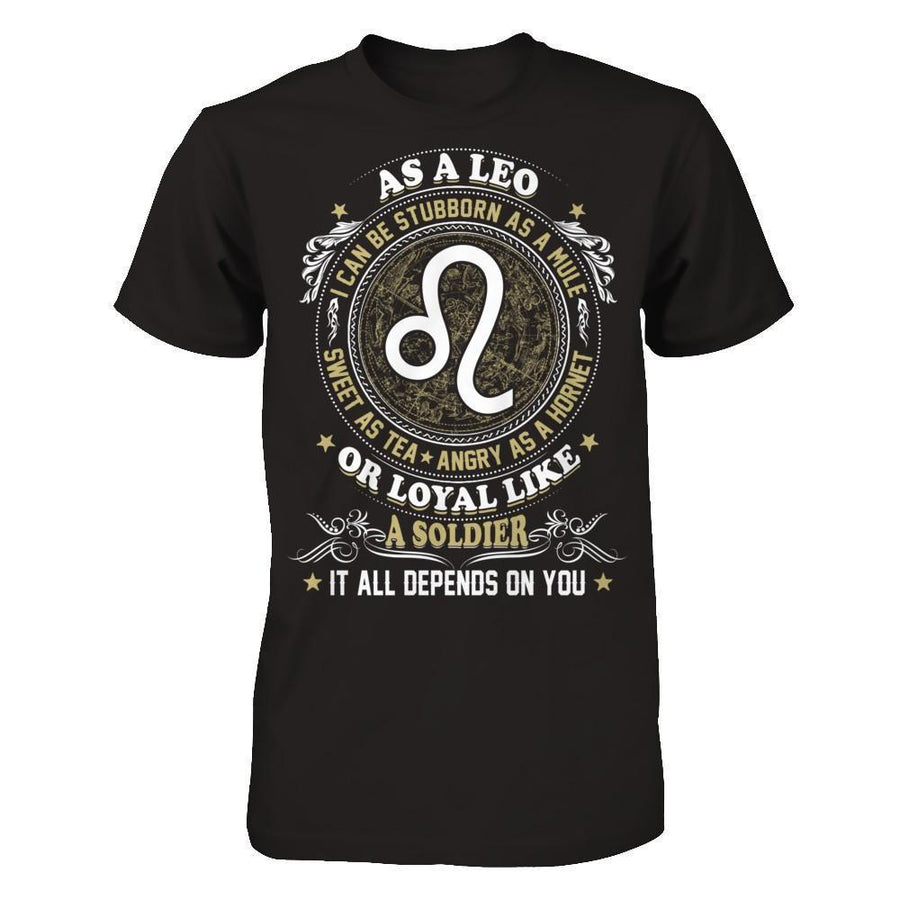 As A Leo I Can Be Stubborn As A Mule-T-Shirt & Hoodie-Premium T-Shirt-Black