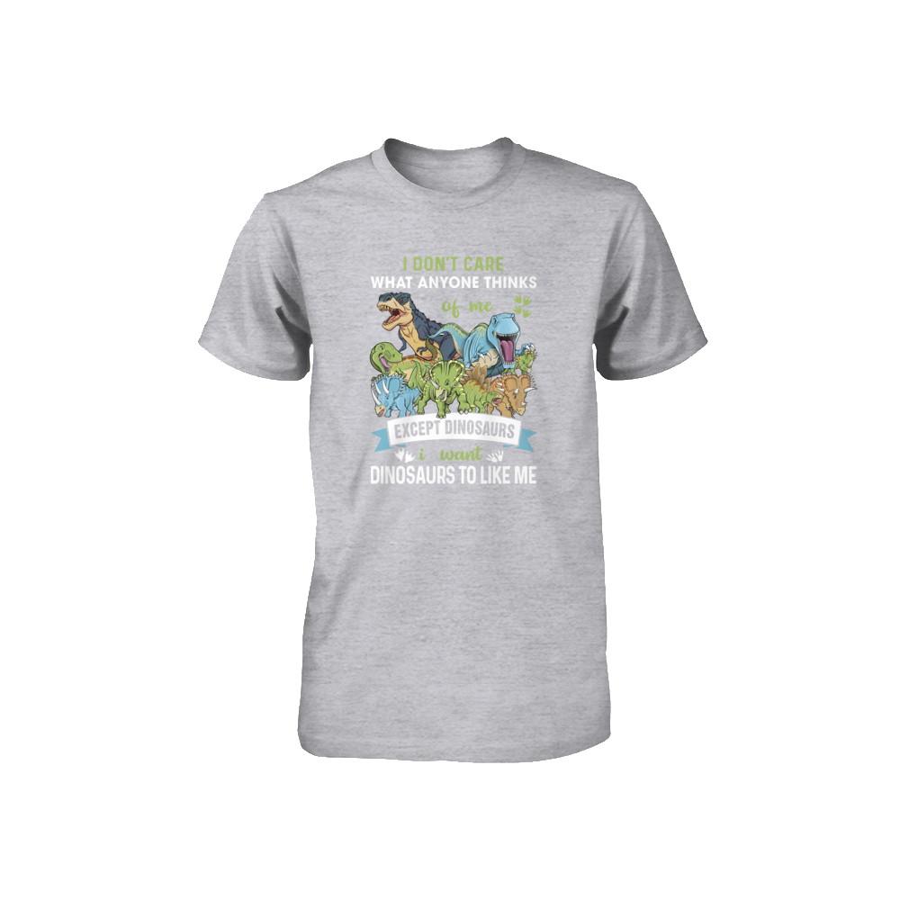 I Don't Care Except Dinosaurs Want Dinosaurs To Like Me Youth-Youth Shirt-Youth T-Shirt-Athletic Heather