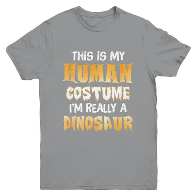 This Is My Human Costume Dinosaur T-Rex Halloween Youth-Youth Shirt-Youth T-Shirt-Sport Grey