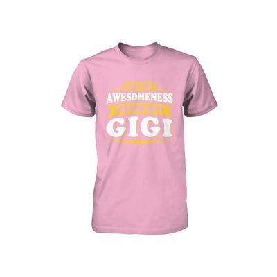 I Get My Awesomeness From My Gigi Youth-Youth Shirt-Toddler T-Shirt-Pink