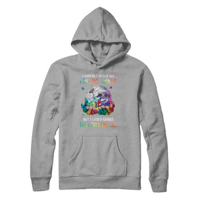 I Would Change The World For You Autism Awareness-T-Shirt & Hoodie-Pullover Hoodie-Light Steel