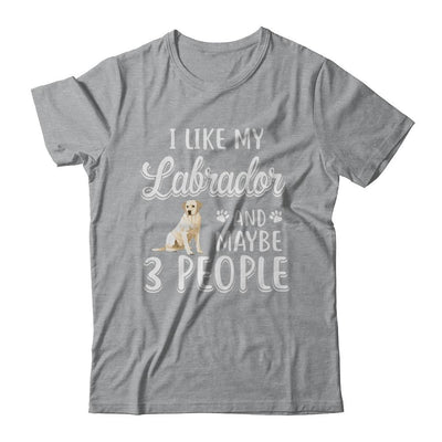 I Like My Labrador And Maybe 3 People-T-Shirt & Hoodie-Classic T-Shirt-Sport Grey
