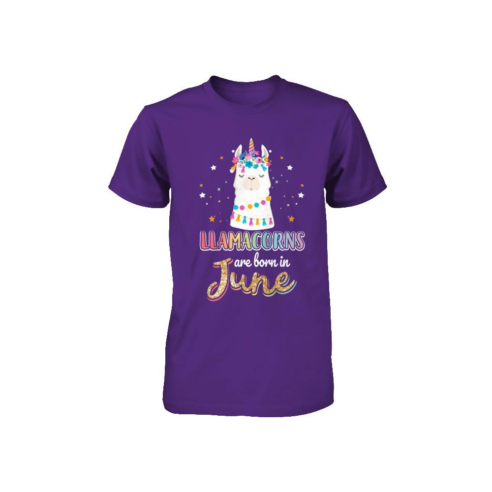 Llama Unicorn Llamacorns Born In June Birthday Gift Youth-Youth Shirt-