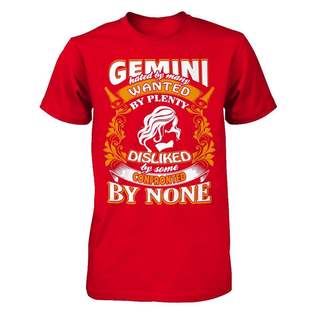 Gemini Hated By Many Wanted By Plenty-T-Shirt & Hoodie-Premium T-Shirt-Red