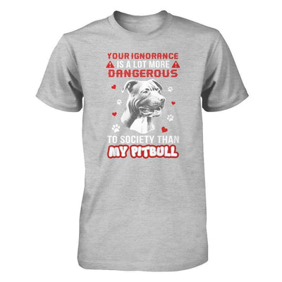 Your Ignorance Is A Lot More Dangerous Pitbull-T-Shirt & Tank Top-Premium T-Shirt-Heather Gray