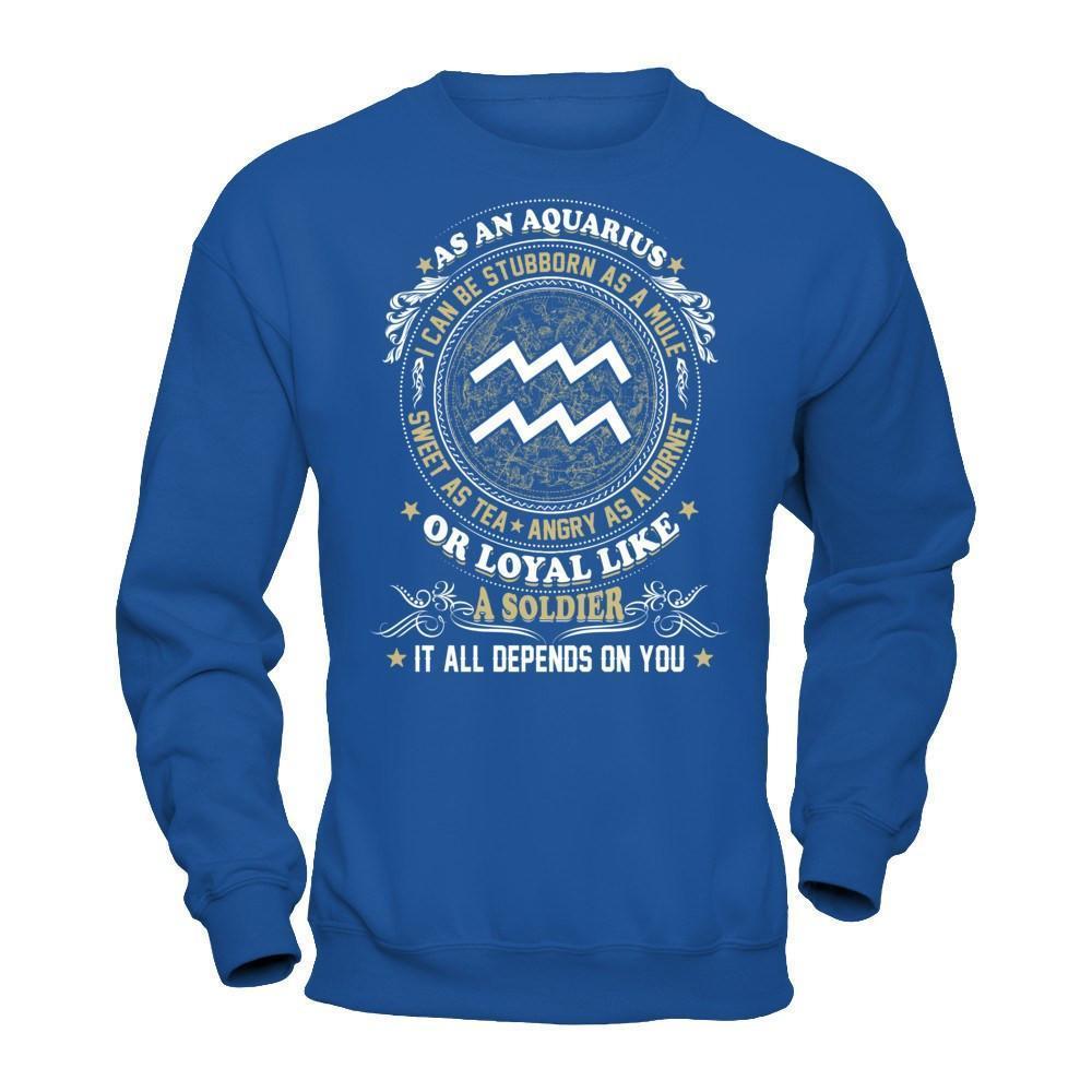 As An Aquarius I Can Be Stubborn As A Mule-T-Shirt & Hoodie-