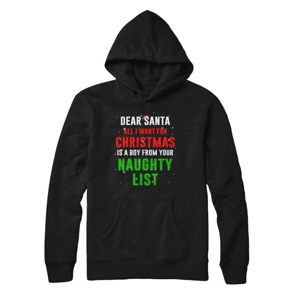 Dear Santa I Want For Christmas Is A Boy From Naughty List-T-Shirt & Sweatshirt-Pullover Hoodie-Black