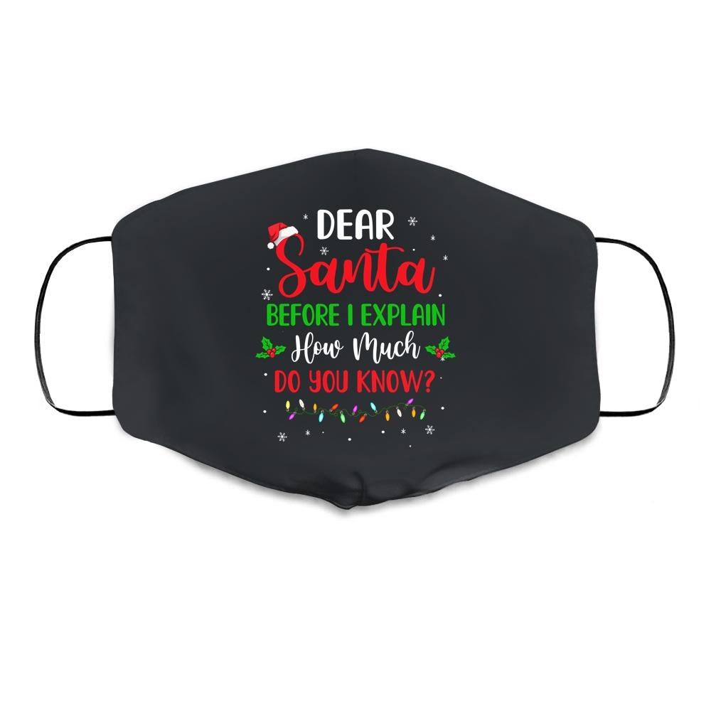 2020 Funny Christmas Adults Kids Santa I Can Explain Cloth Face Mask-Cloth Face Mask-Cloth Face Mask-Black