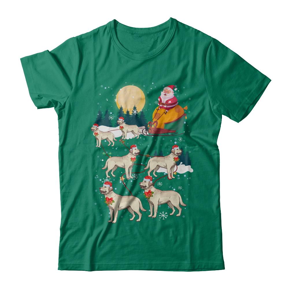 Dog Reindeer Labrador Christmas Gift-T-Shirt & Sweatshirt-Classic T-Shirt-Kelly Green