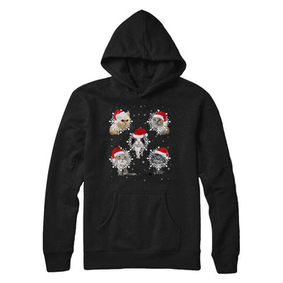 Cute Cat's Christmas Snowflakes Cat Claus-T-Shirt & Sweatshirt-Pullover Hoodie-Black