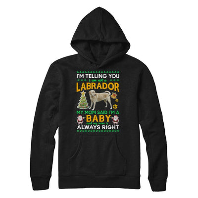 I Am Not A Labrador My Mom Said I'm A Baby-T-Shirt & Sweatshirt-Pullover Hoodie-Black