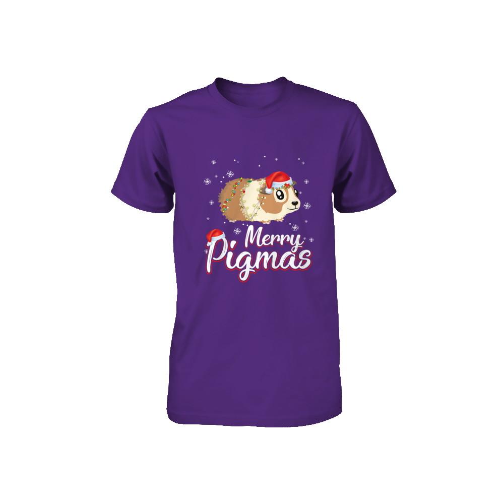 Merry Pigmas Funny Guinea Pig Santa Hat Christmas Gift Youth-Youth Shirt-