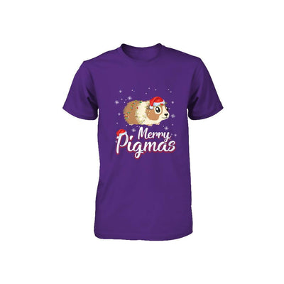Merry Pigmas Funny Guinea Pig Santa Hat Christmas Gift Youth-Youth Shirt-