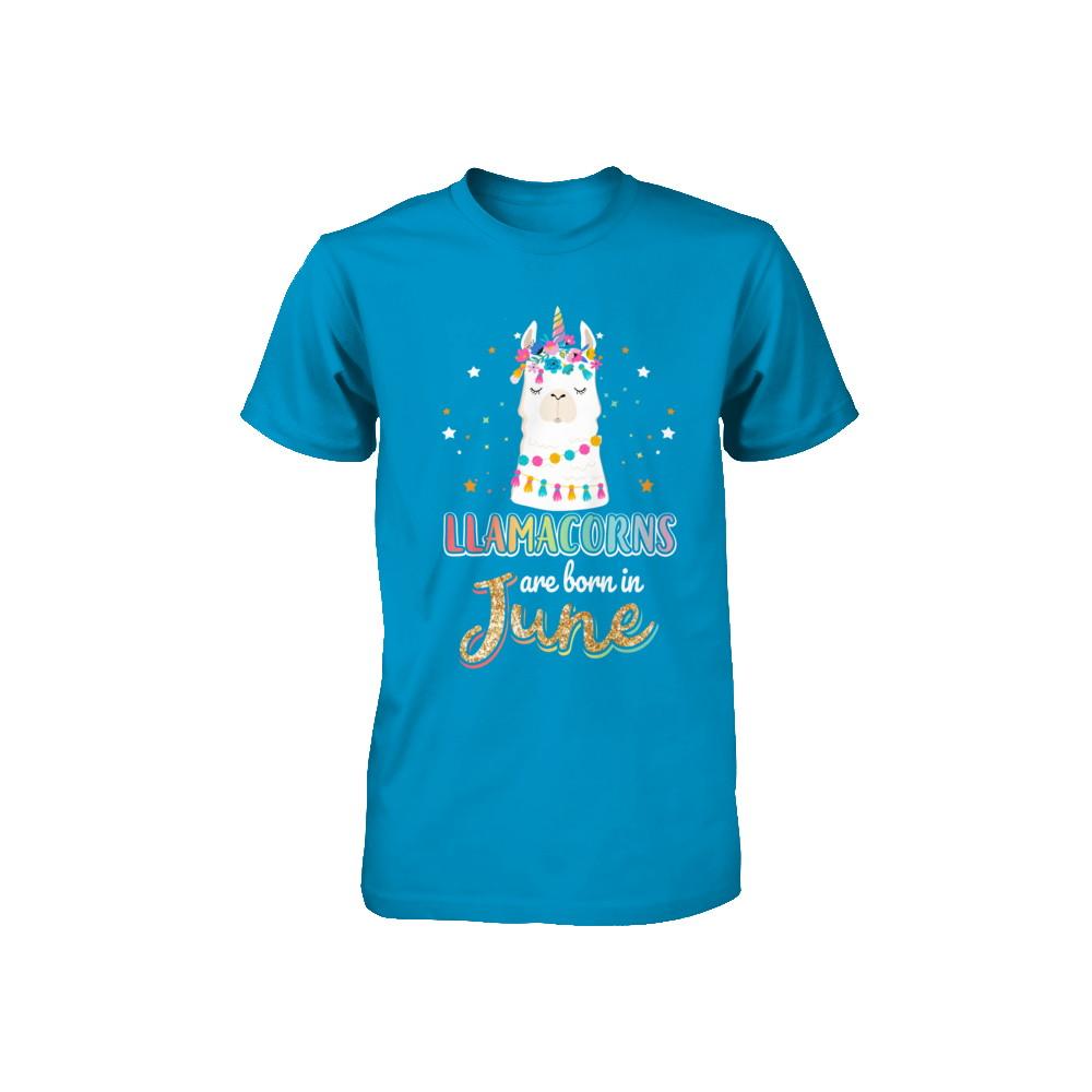 Llama Unicorn Llamacorns Born In June Birthday Gift Youth-Youth Shirt-
