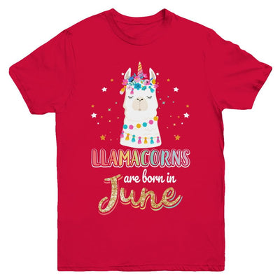 Llama Unicorn Llamacorns Born In June Birthday Gift Youth-Youth Shirt-Youth T-Shirt-Red
