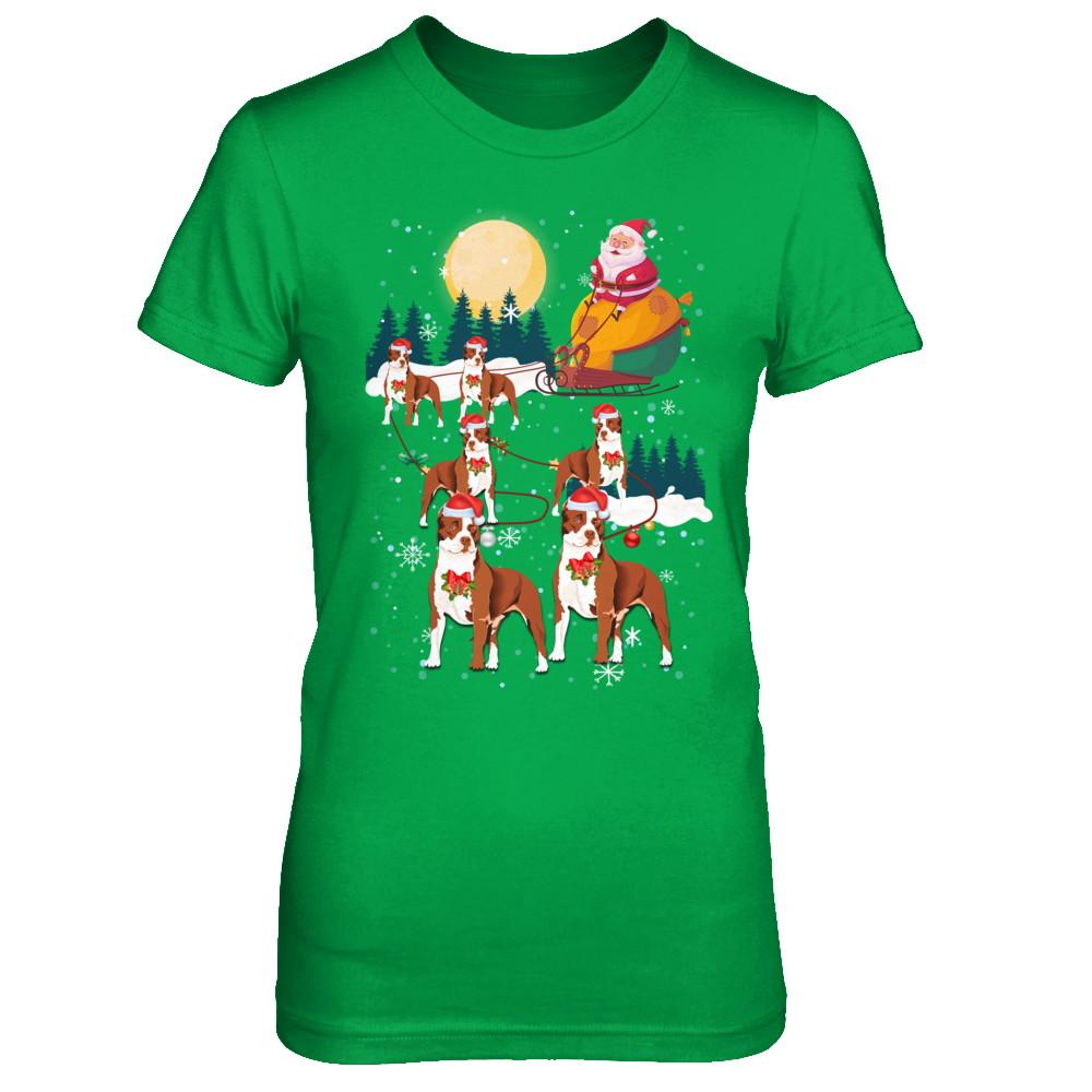 Dog Reindeer Pit bull Christmas Gift-T-Shirt & Sweatshirt-Women's T-Shirt-Irish Green