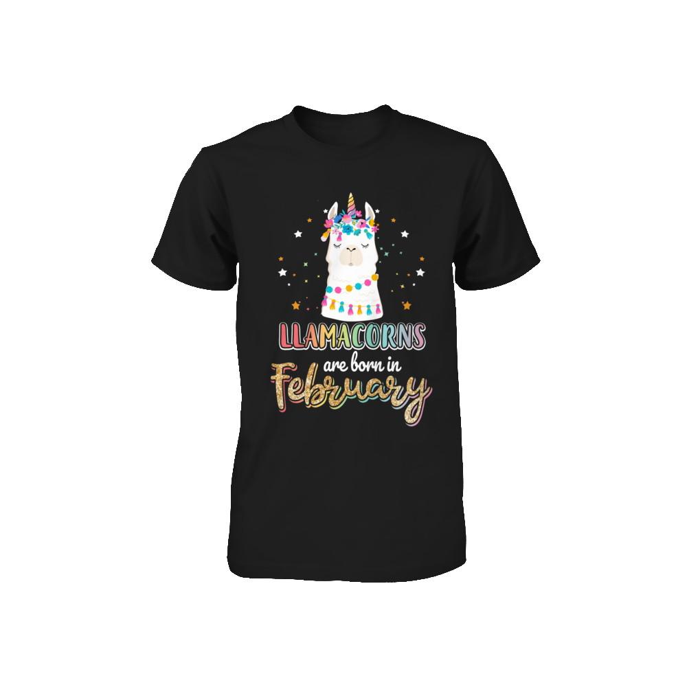 Llama Unicorn Llamacorns Born In February Birthday Gift Youth-Youth Shirt-Toddler T-Shirt-Black