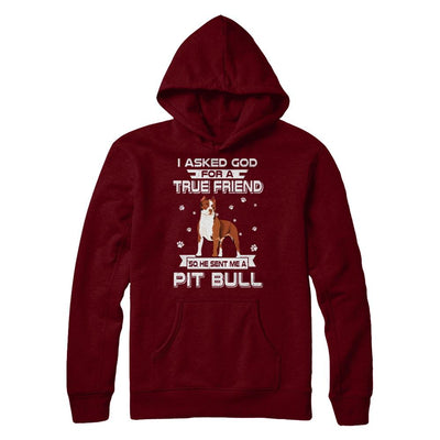 I Asked God For A True Friend So Sent Me Pitbull Dog-T-Shirt & Hoodie-Pullover Hoodie-Maroon
