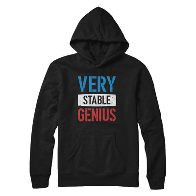 Very Stable Genius-T-Shirt & Hoodie-Pullover Hoodie-Black