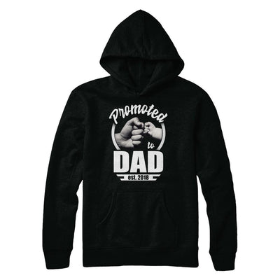 Promoted To Dad 2018 Fathers Day Gift-T-Shirt & Hoodie-Pullover Hoodie-Black