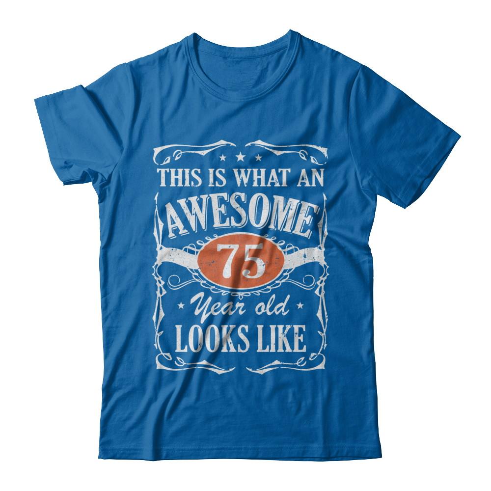 Vintage This Is What An Awesome 75 Year Old 1946 Birthday-T-Shirt & Hoodie-Classic T-Shirt-Royal