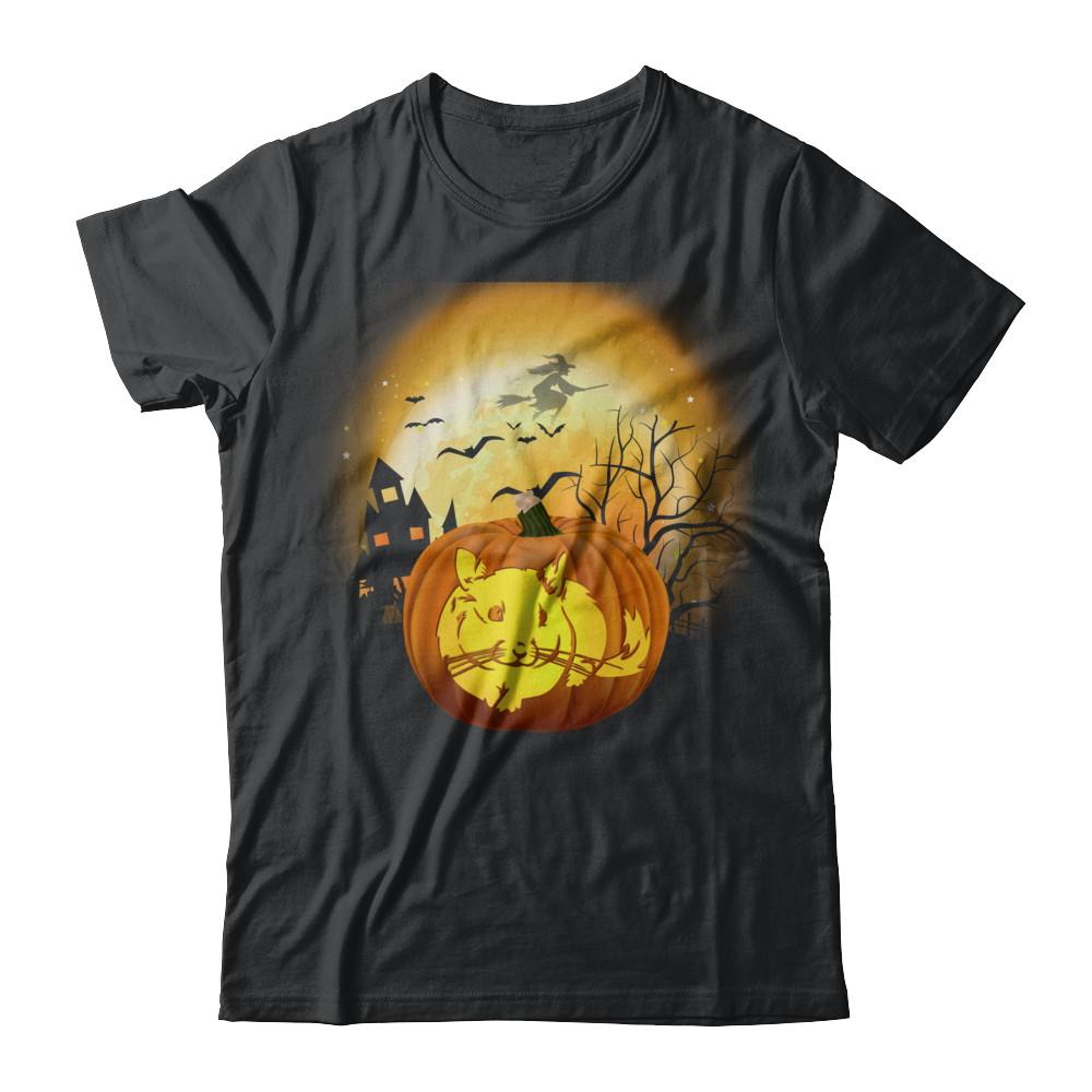 Pumpkin Chinchilla Halloween Human Costume-T-Shirt & Hoodie-Classic T-Shirt-Black