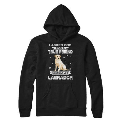 I Asked God For A True Friend So Sent Me Labrador Dog-T-Shirt & Hoodie-Pullover Hoodie-Black