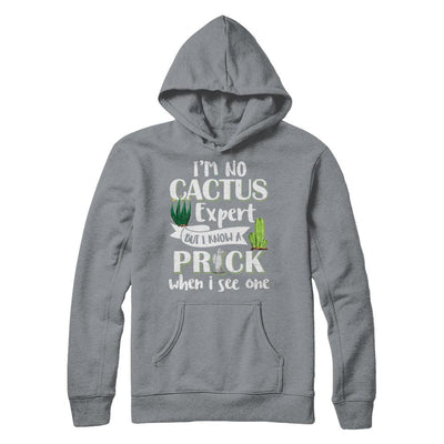 I'm No Cactus Expert But I Know A Prick When I See One-T-Shirt & Hoodie-Pullover Hoodie-Light Steel