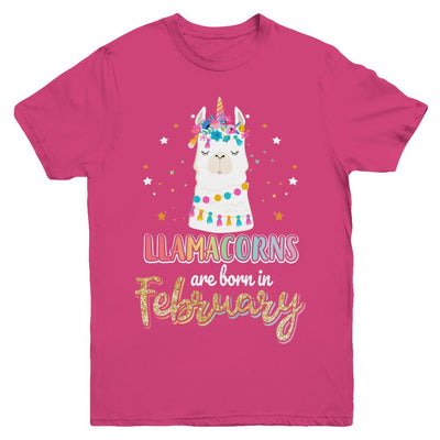 Llama Unicorn Llamacorns Born In February Birthday Gift Youth-Youth Shirt-Youth T-Shirt-Heliconia