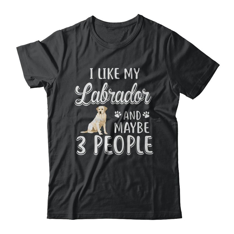 I Like My Labrador And Maybe 3 People-T-Shirt & Hoodie-Classic T-Shirt-Black