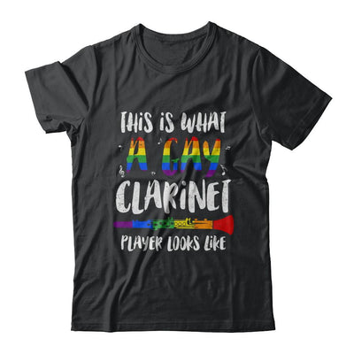 This Is What A Gay Clarinet Player Looks Like LGBT-T-Shirt & Hoodie-Classic T-Shirt-Black