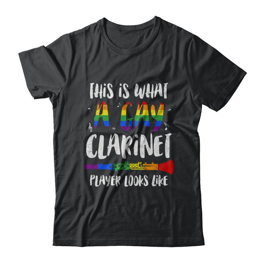 This Is What A Gay Clarinet Player Looks Like LGBT-T-Shirt & Hoodie-Classic T-Shirt-Black