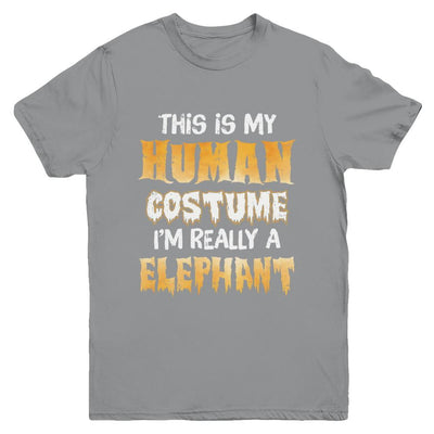 This Is My Human Costume Elephant Halloween Youth-Youth Shirt-Youth T-Shirt-Sport Grey