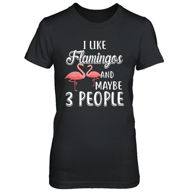 I Like Flamingos And Maybe 3 People-T-Shirt & Hoodie-Women's T-Shirt-Black