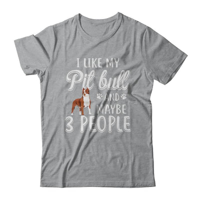 I Like My Pitbull And Maybe 3 People-T-Shirt & Hoodie-Classic T-Shirt-Sport Grey