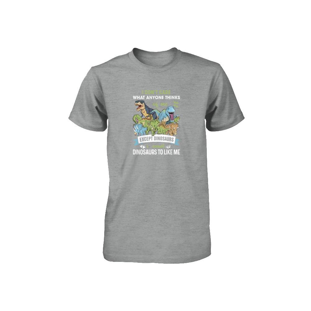 I Don't Care Except Dinosaurs Want Dinosaurs To Like Me Youth-Youth Shirt-Toddler T-Shirt-Heather