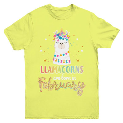 Llama Unicorn Llamacorns Born In February Birthday Gift Youth-Youth Shirt-Youth T-Shirt-Daisy
