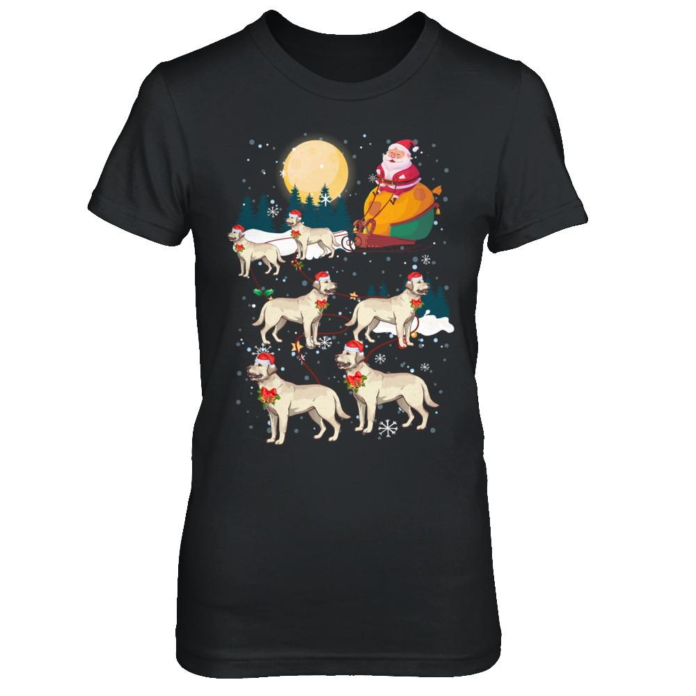 Dog Reindeer Labrador Christmas Gift-T-Shirt & Sweatshirt-Women's T-Shirt-Black