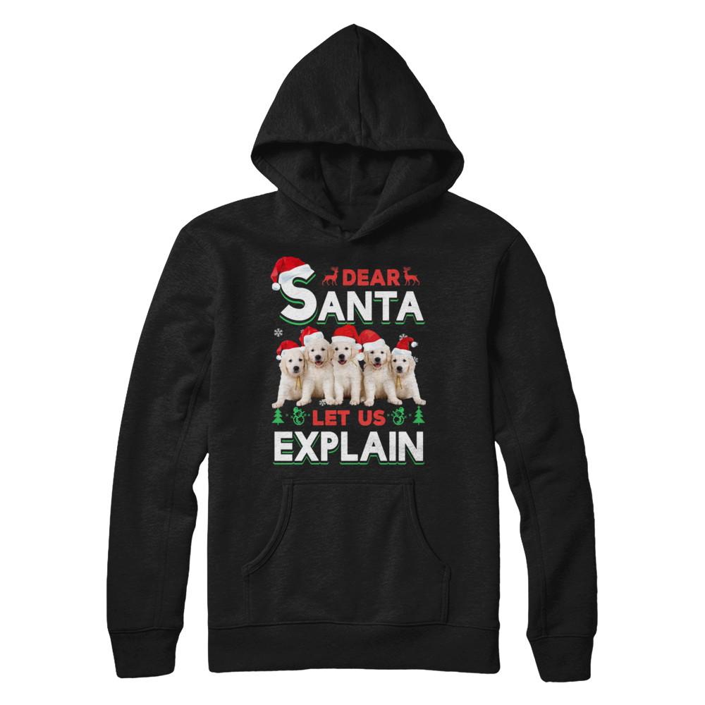 Dear Santa Funny Golden Retriever Puppies Christmas Gift-T-Shirt & Hoodie-Pullover Hoodie-Black