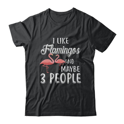 I Like Flamingos And Maybe 3 People-T-Shirt & Hoodie-Classic T-Shirt-Black