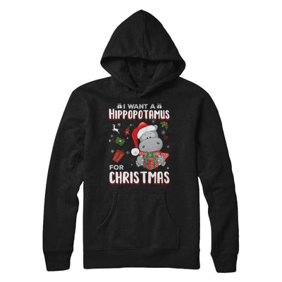 I Want A Hippopotamus For Christmas Hippo-T-Shirt & Sweatshirt-Pullover Hoodie-Black