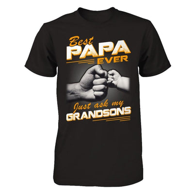Best Papa Ever Just Ask My Grandsons-T-Shirt & Hoodie-Classic T-Shirt-Black