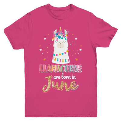 Llama Unicorn Llamacorns Born In June Birthday Gift Youth-Youth Shirt-Youth T-Shirt-Heliconia