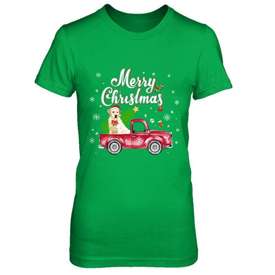 Labrador Retriever Rides Red Truck Christmas Pajama-T-Shirt & Sweatshirt-Women's T-Shirt-Irish Green