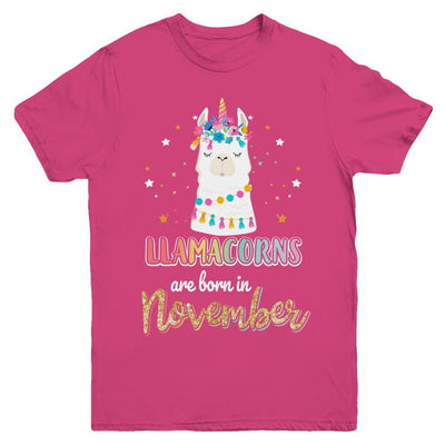 Llama Unicorn Llamacorns Born In November Birthday Gift Youth-Youth Shirt-Youth T-Shirt-Heliconia