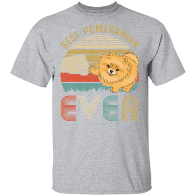 Vintage Best Pomeranian Dad Ever Bump Fit Funny Dad Gifts-T-Shirt & Hoodie-Classic T-Shirt-Sport Grey