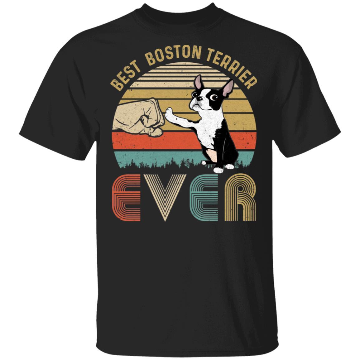 Vintage Best Boston Dad Ever Bump Fit Funny Dad Gifts