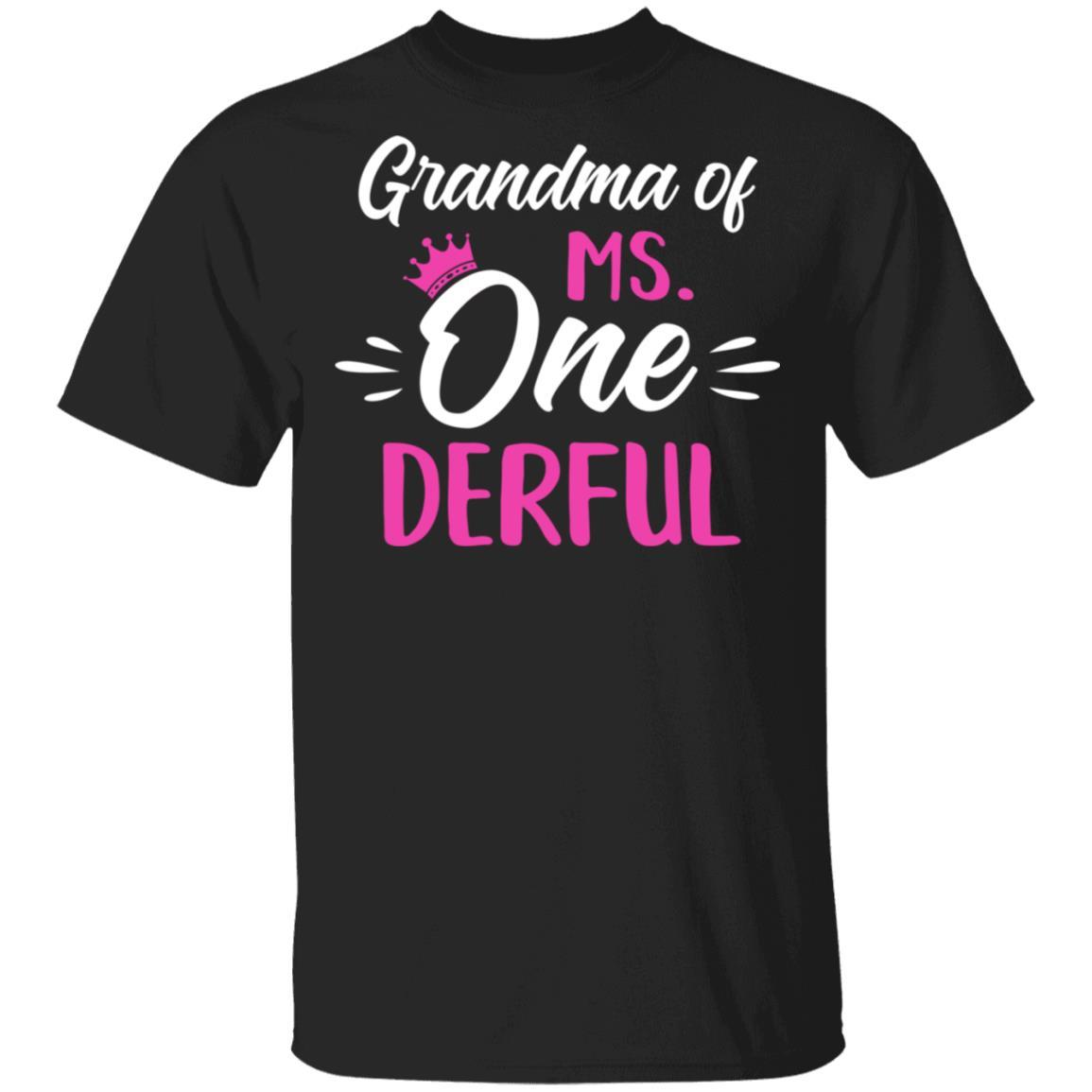 Grandma Of Ms Onederful 1st Birthday Party Costumes Gifts